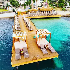 book here